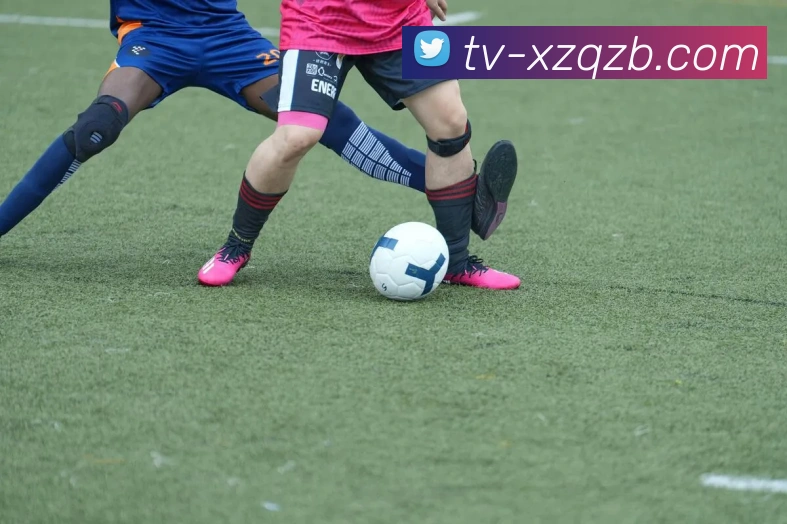 新足球直播全站App